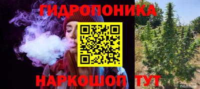 хмурый Камышлов