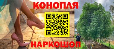хмурый Камышлов