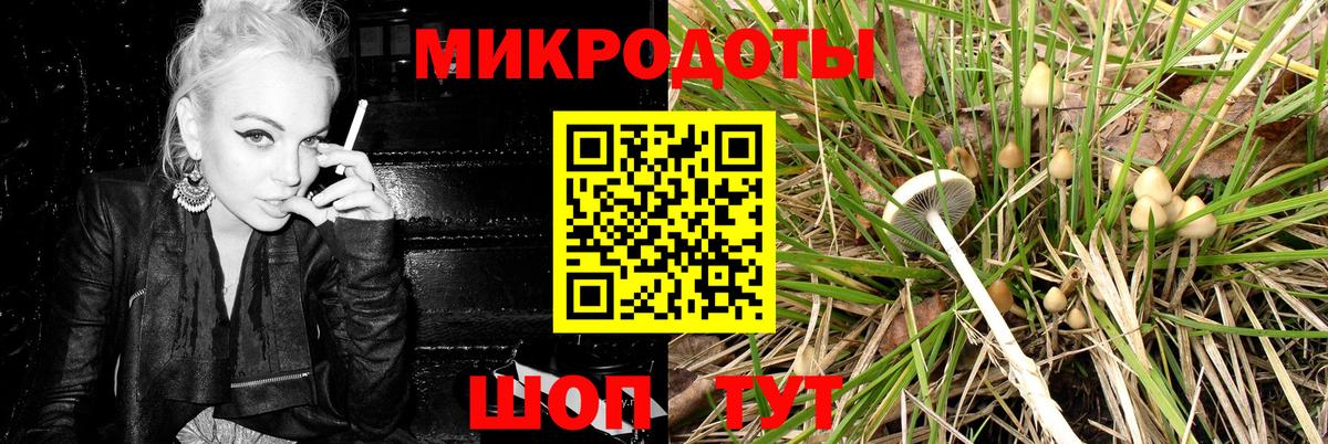 Псилоцибиновые грибы ЛСД  купить наркоту  Ейск  Галлюциногенные грибы прущие грибы  Вход с VPN 