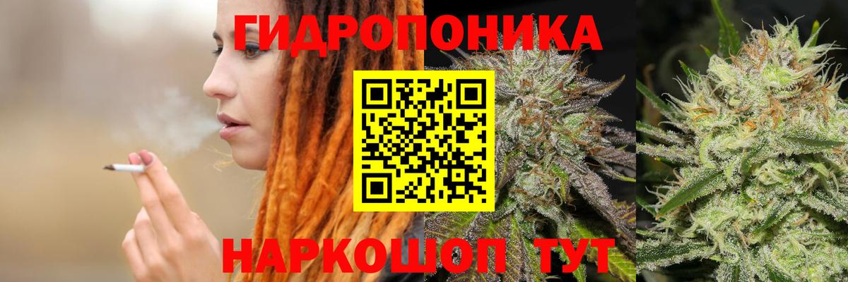 Шишки марихуана White Widow  Вход с VPN  Марихуана тримм  Ейск  МАРИХУАНА план  МАРИХУАНА AK-47 
